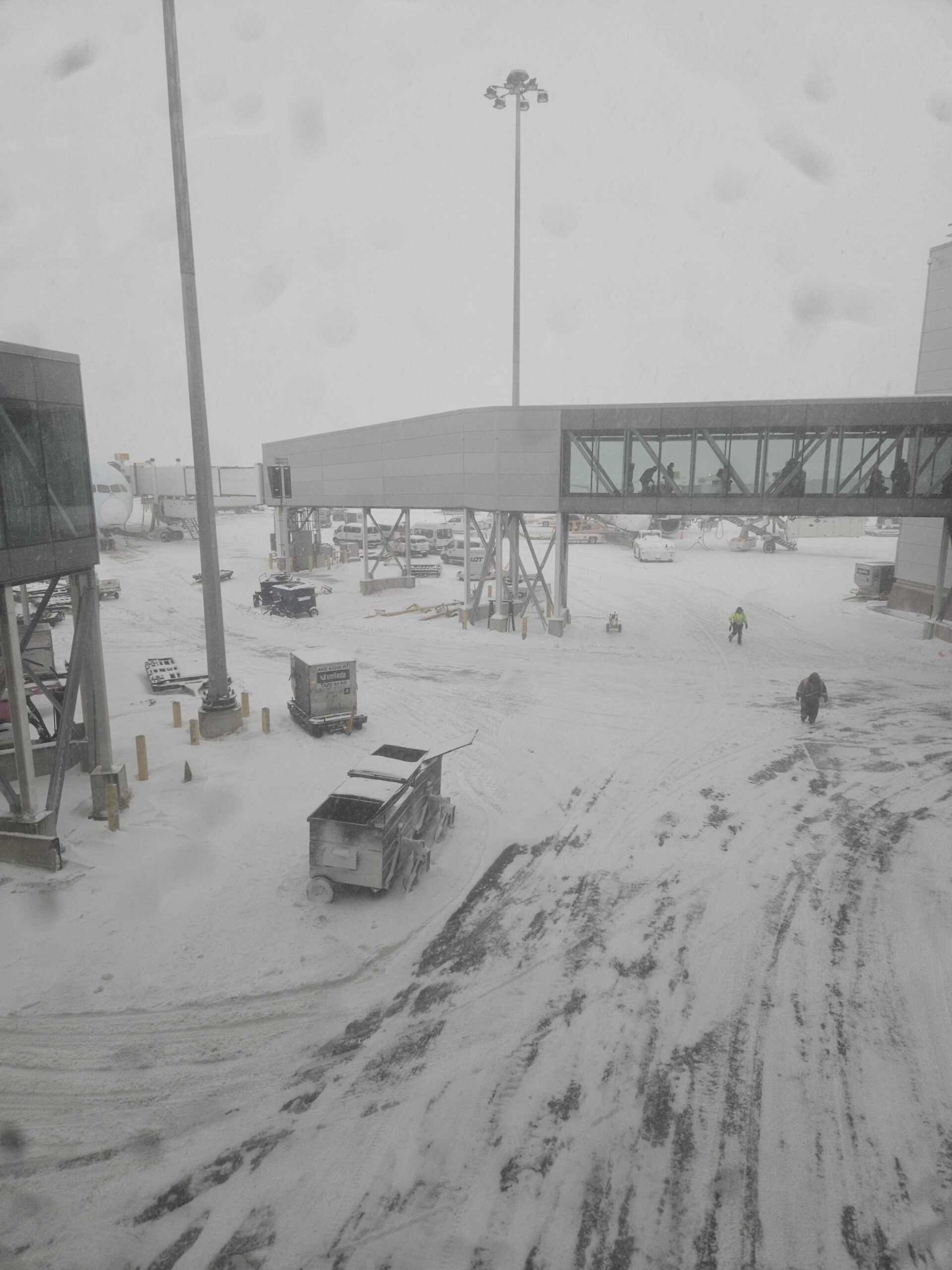 16 Feb 2025 – Sunday – Toronto to Grenada