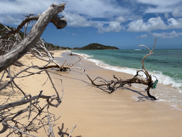 8 March 2025, Saturday, Mayreau, SVG